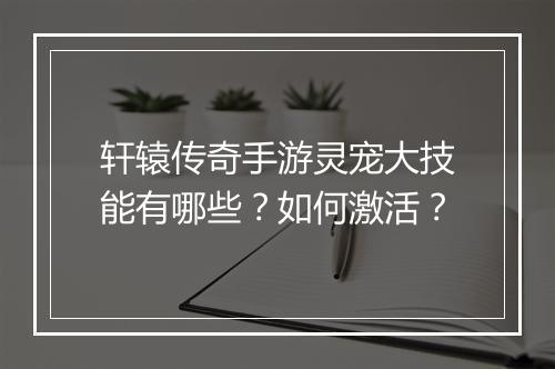 轩辕传奇手游灵宠大技能有哪些？如何激活？