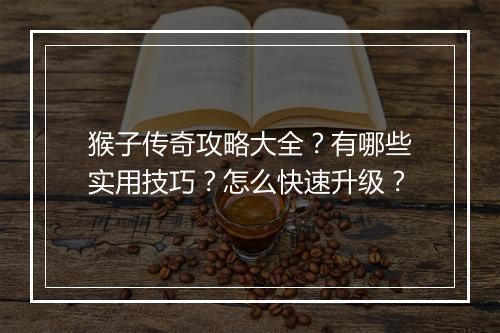 猴子传奇攻略大全？有哪些实用技巧？怎么快速升级？