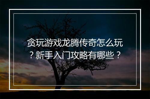 贪玩游戏龙腾传奇怎么玩？新手入门攻略有哪些？