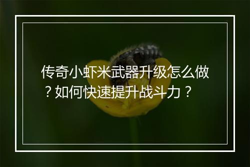 传奇小虾米武器升级怎么做？如何快速提升战斗力？