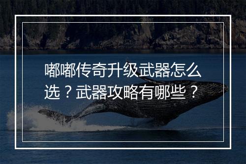 嘟嘟传奇升级武器怎么选？武器攻略有哪些？