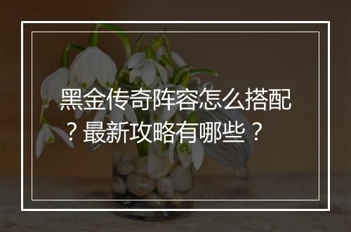 黑金传奇阵容怎么搭配？最新攻略有哪些？