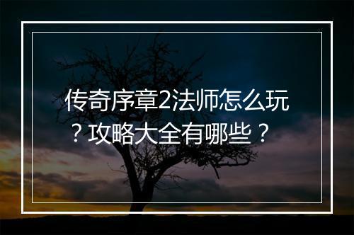 传奇序章2法师怎么玩？攻略大全有哪些？