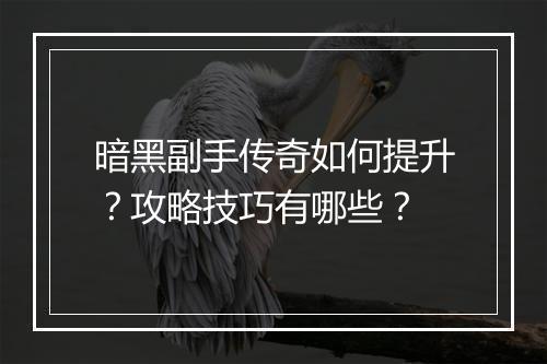 暗黑副手传奇如何提升？攻略技巧有哪些？