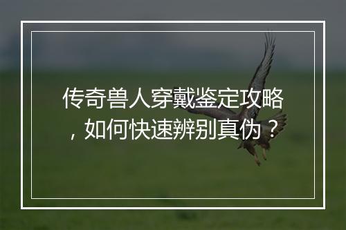 传奇兽人穿戴鉴定攻略，如何快速辨别真伪？