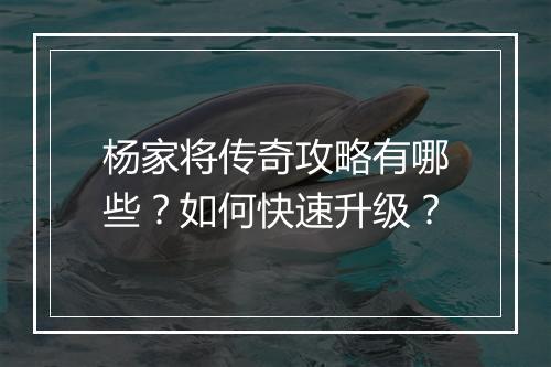 杨家将传奇攻略有哪些？如何快速升级？