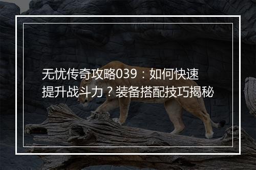 无忧传奇攻略039：如何快速提升战斗力？装备搭配技巧揭秘