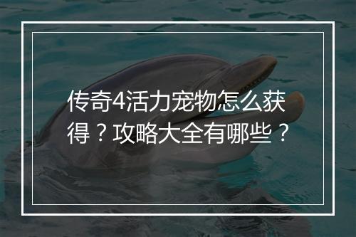 传奇4活力宠物怎么获得？攻略大全有哪些？