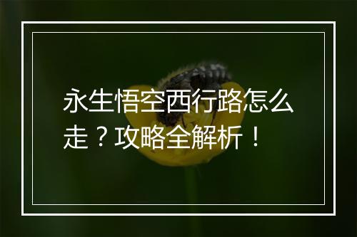 永生悟空西行路怎么走？攻略全解析！