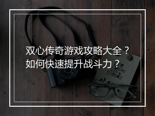双心传奇游戏攻略大全？如何快速提升战斗力？