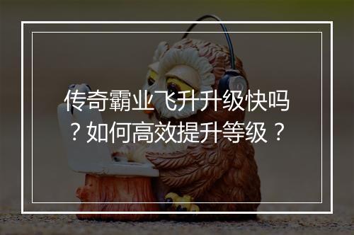 传奇霸业飞升升级快吗？如何高效提升等级？