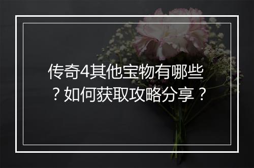 传奇4其他宝物有哪些？如何获取攻略分享？