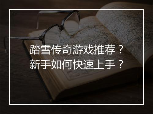 踏雪传奇游戏推荐？新手如何快速上手？