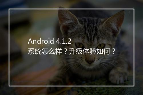 Android 4.1.2系统怎么样？升级体验如何？