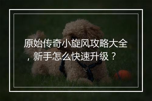 原始传奇小旋风攻略大全，新手怎么快速升级？