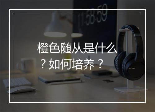 橙色随从是什么？如何培养？