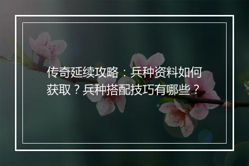 传奇延续攻略：兵种资料如何获取？兵种搭配技巧有哪些？