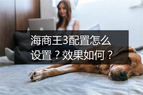 海商王3配置怎么设置？效果如何？