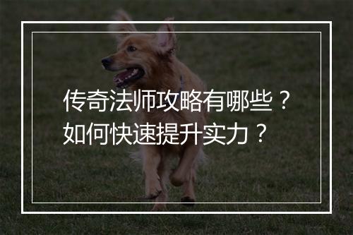 传奇法师攻略有哪些？如何快速提升实力？