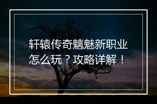 轩辕传奇魑魅新职业怎么玩？攻略详解！