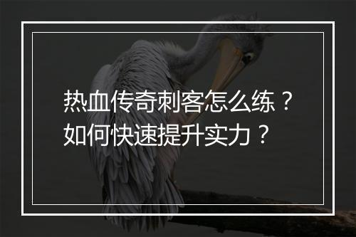 热血传奇刺客怎么练？如何快速提升实力？