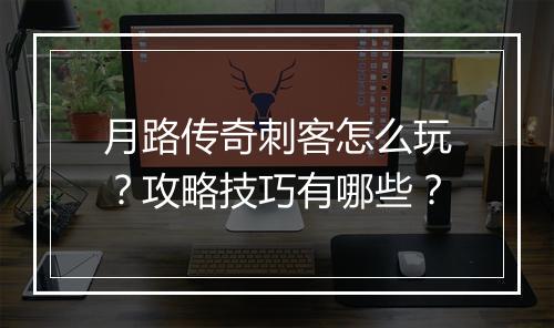 月路传奇刺客怎么玩？攻略技巧有哪些？