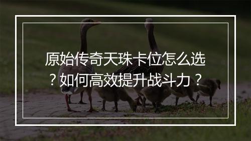 原始传奇天珠卡位怎么选？如何高效提升战斗力？