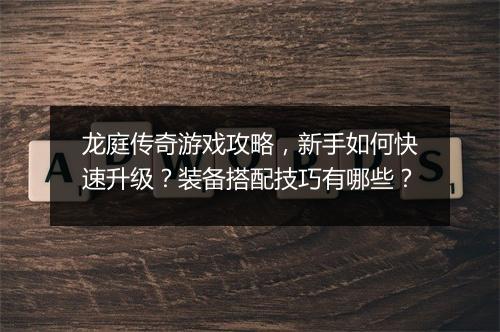 龙庭传奇游戏攻略，新手如何快速升级？装备搭配技巧有哪些？