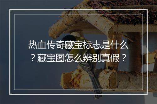 热血传奇藏宝标志是什么？藏宝图怎么辨别真假？