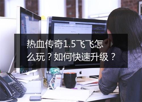 热血传奇1.5飞飞怎么玩？如何快速升级？
