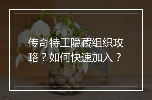 传奇特工隐藏组织攻略？如何快速加入？