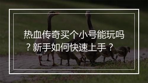 热血传奇买个小号能玩吗？新手如何快速上手？