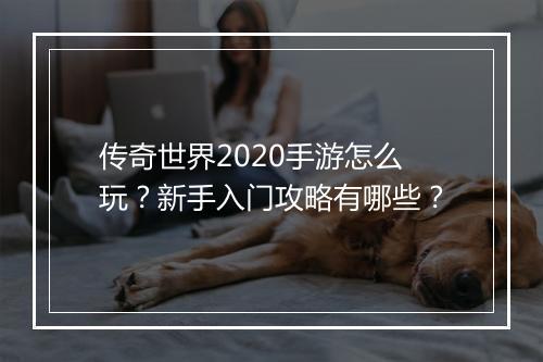 传奇世界2020手游怎么玩？新手入门攻略有哪些？