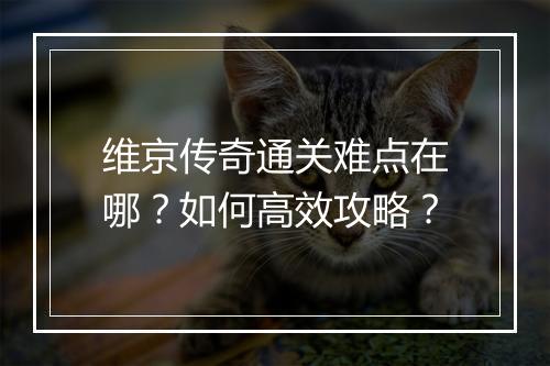 维京传奇通关难点在哪？如何高效攻略？