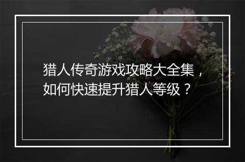 猎人传奇游戏攻略大全集，如何快速提升猎人等级？
