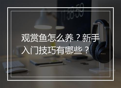 观赏鱼怎么养？新手入门技巧有哪些？