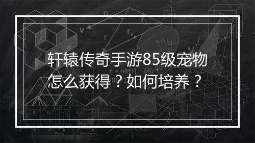 轩辕传奇手游85级宠物怎么获得？如何培养？