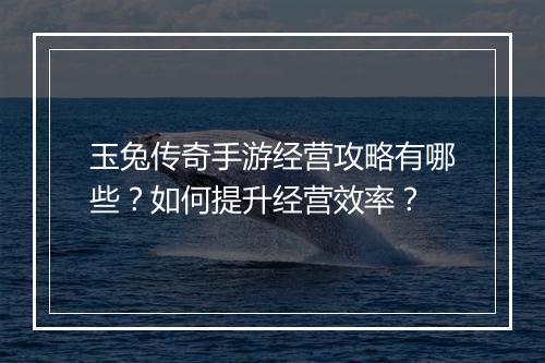 玉兔传奇手游经营攻略有哪些？如何提升经营效率？