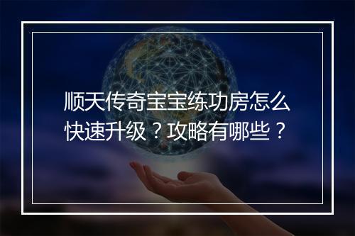顺天传奇宝宝练功房怎么快速升级？攻略有哪些？