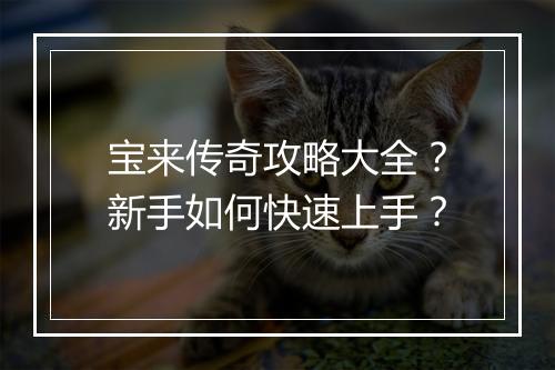 宝来传奇攻略大全？新手如何快速上手？