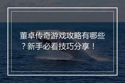 董卓传奇游戏攻略有哪些？新手必看技巧分享！