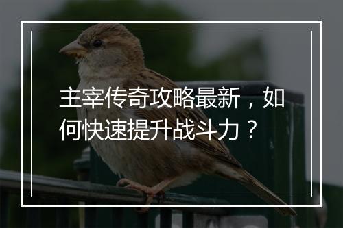 主宰传奇攻略最新，如何快速提升战斗力？