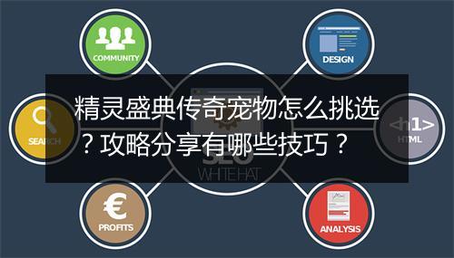 精灵盛典传奇宠物怎么挑选？攻略分享有哪些技巧？
