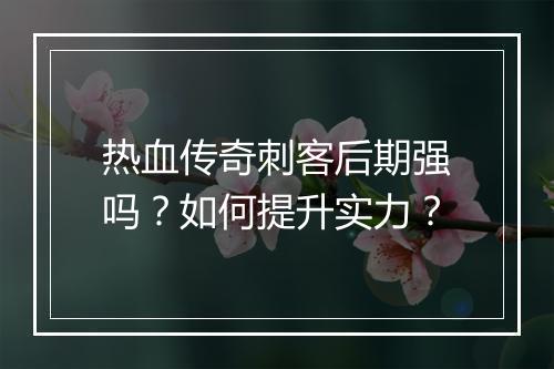 热血传奇刺客后期强吗？如何提升实力？
