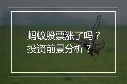 蚂蚁股票涨了吗？投资前景分析？