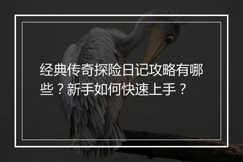经典传奇探险日记攻略有哪些？新手如何快速上手？