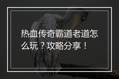 热血传奇霸道老道怎么玩？攻略分享！