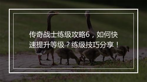 传奇战士练级攻略6，如何快速提升等级？练级技巧分享！