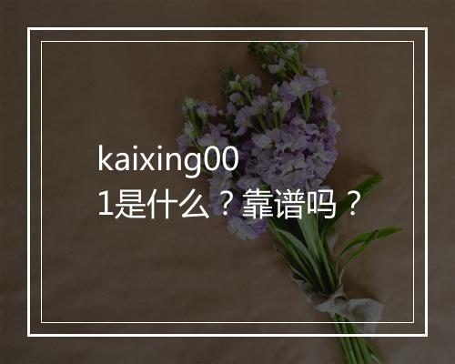 kaixing001是什么？靠谱吗？