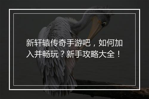 新轩辕传奇手游吧，如何加入并畅玩？新手攻略大全！
